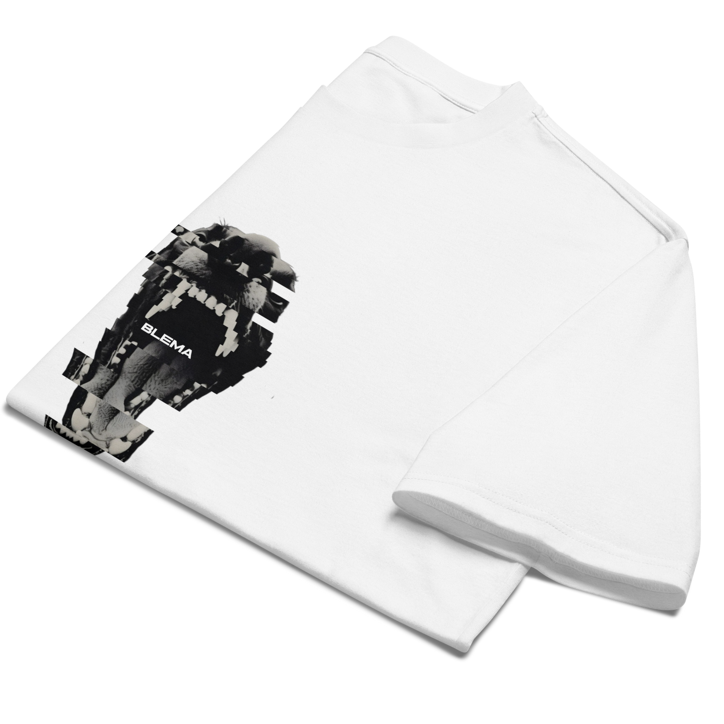 BLEMA DAWG OVERSIZED T-SHIRT
